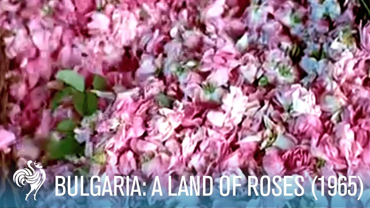 A Travel Guide to Bulgaria in the '60s: A Land of Roses (1965) | British Pathé