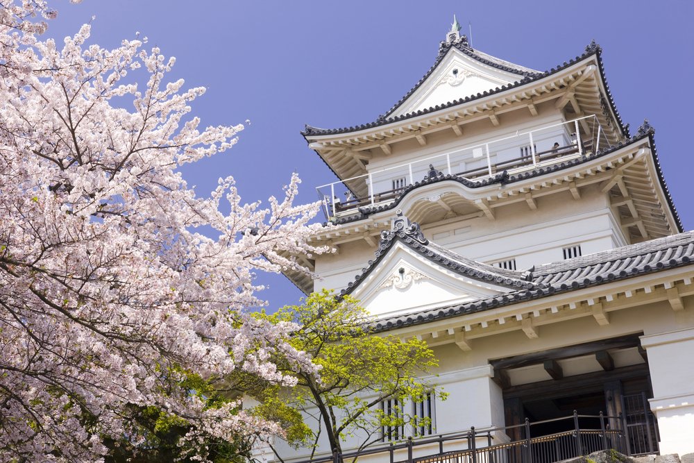 Japan mulls resumption of tourism discount