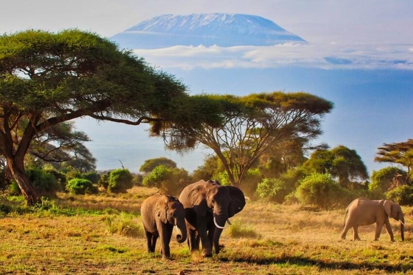 Kenya’s Travel & Tourism Sector Boosts National Economy With $7.737 Billion Injection Last Year, World Travel & Tourism Council New Report